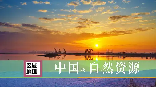 高考地理区域地理 中国的自然资源课件(共31张PPT)