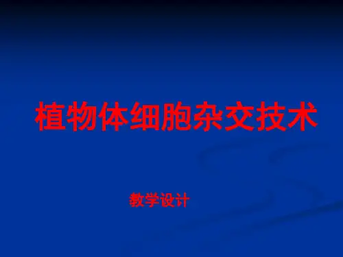 植物体细胞杂交技术ppt课件