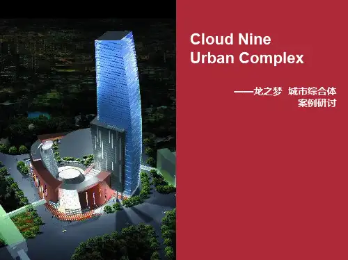 龙之梦城市综合体项目案例研究报告