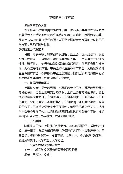 学校防汛工作方案