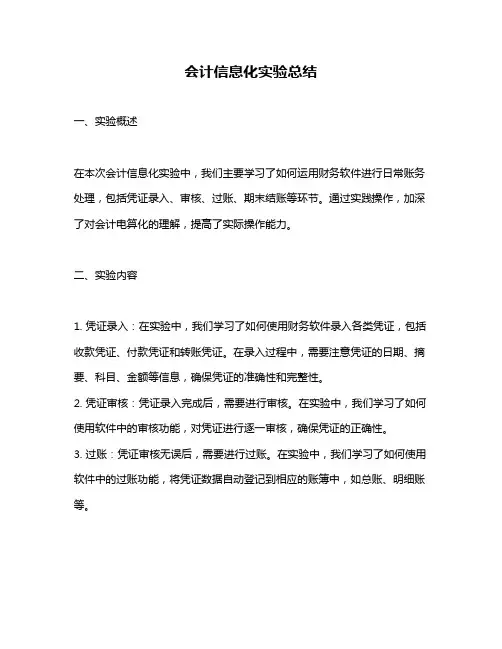 会计信息化实验总结
