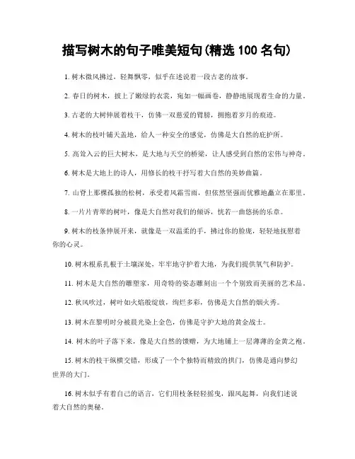 描写树木的句子唯美短句(精选100句)