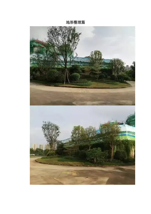优秀施工工艺---小苗篇