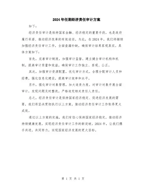 2024年任期经济责任审计方案