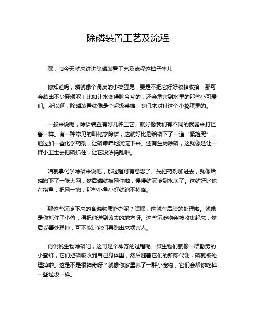 除磷装置工艺及流程
