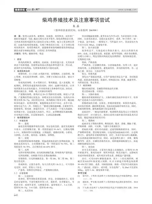 柴鸡养殖技术及注意事项尝试