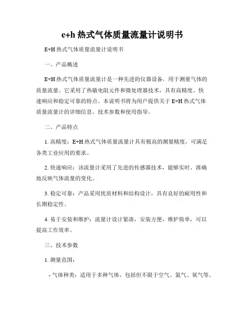 e+h热式气体质量流量计说明书