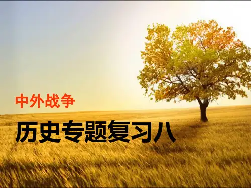 历史专题复习之中外战争