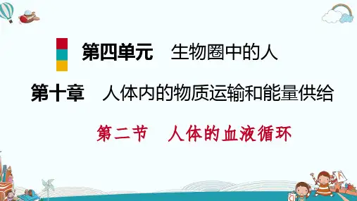 七年级生物第二节第1课时血管和心脏
