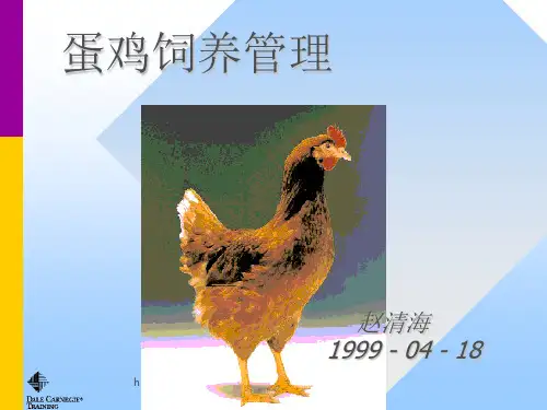 《蛋鸡饲养管理》PPT课件