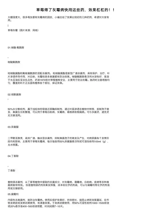 草莓得了灰霉病快用这些药，效果杠杠的！！