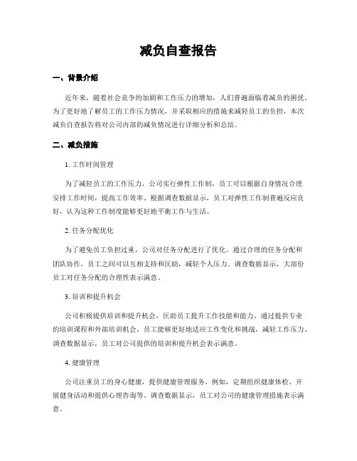 减负自查报告