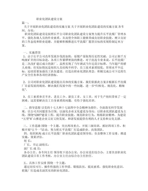 职业化团队建设方案