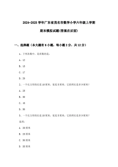 广东省茂名市数学小学六年级上学期期末试题及解答参考(2024-2025学年)