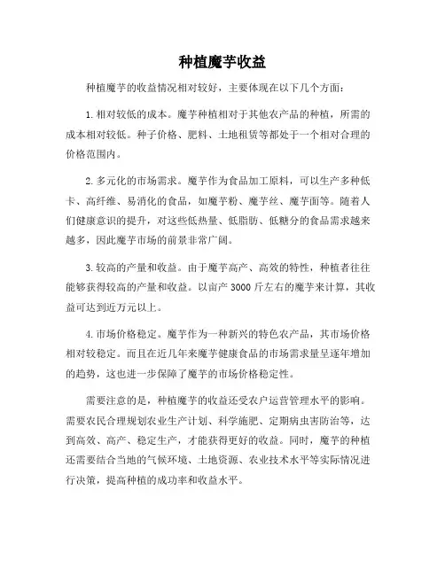 种植魔芋收益