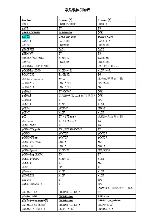 常见载体引物表