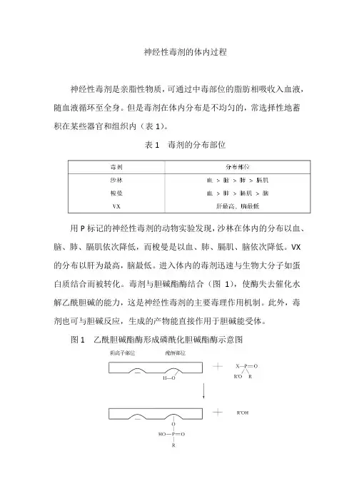 神经性毒剂的体内过程