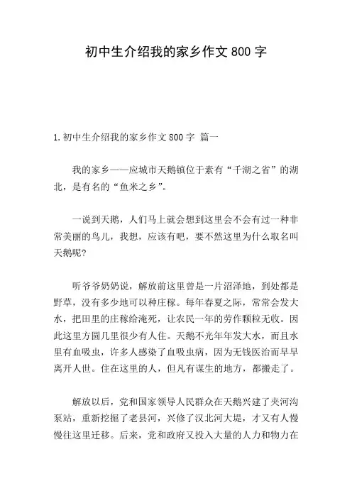 初中生介绍我的家乡作文800字