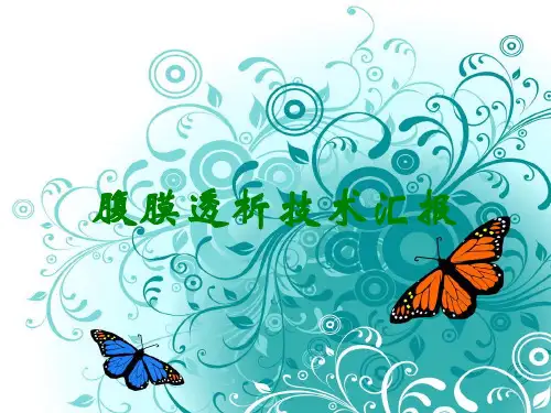 腹膜透析技术汇报