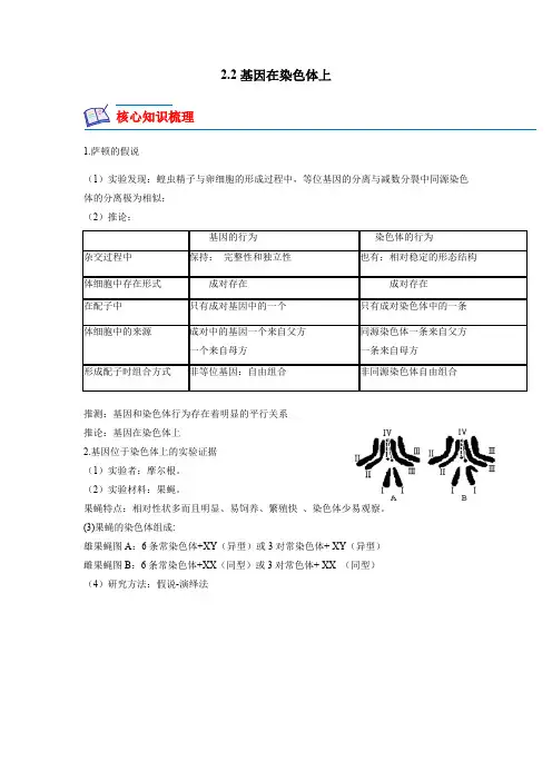 高中试卷-2.2 基因在染色体上(含答案)