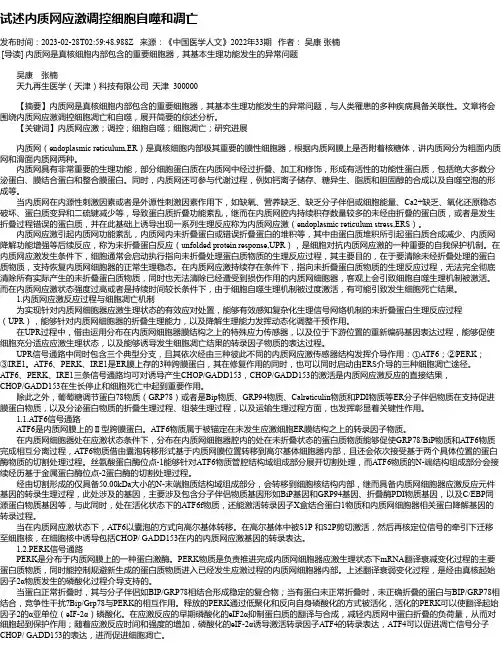 试述内质网应激调控细胞自噬和凋亡