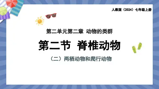 生物人教版2024版七年级上册2.2.2 脊椎动物(两栖动物和爬行动物) 课件02