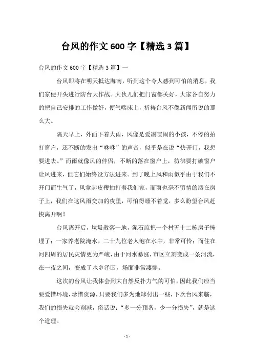 台风的作文600字【3篇】