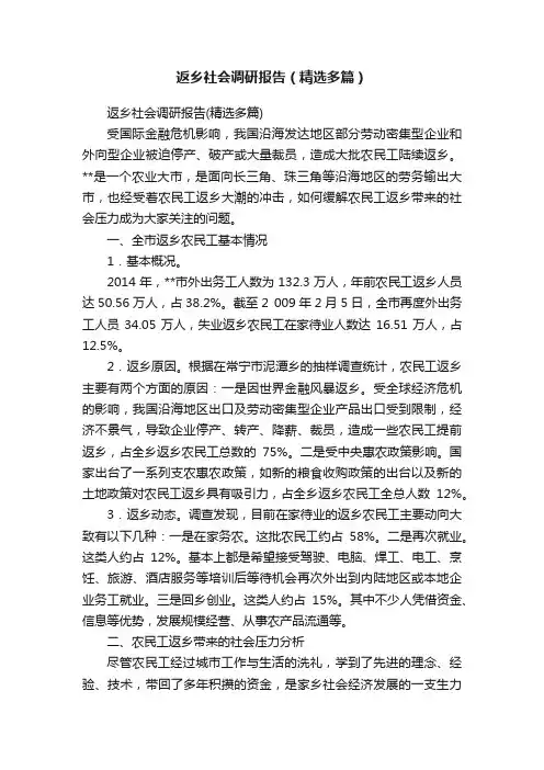 返乡社会调研报告（精选多篇）