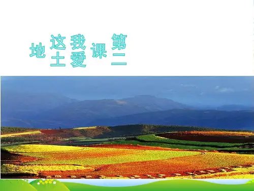 人教版语文九年级上册第2课-我爱这土地ppt教学课件