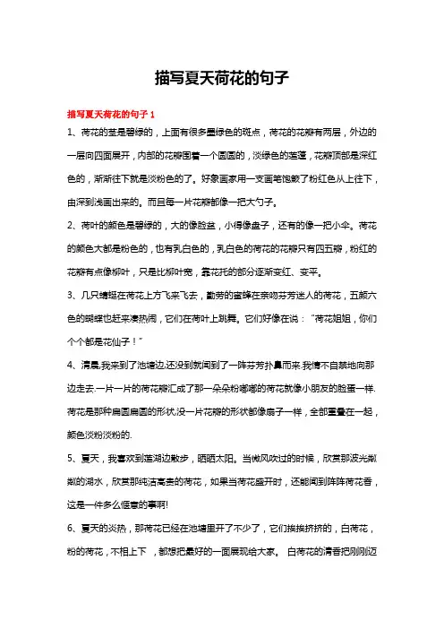 描写夏天荷花的句子