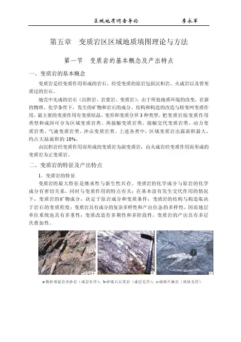 变质岩区区域地质填图理论与方法.pdf