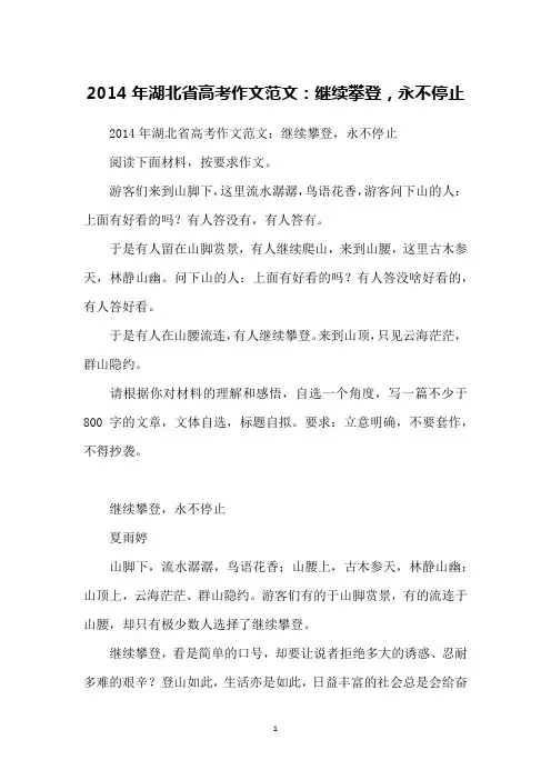 2014年湖北省高考作文范文：继续攀登,永不停止