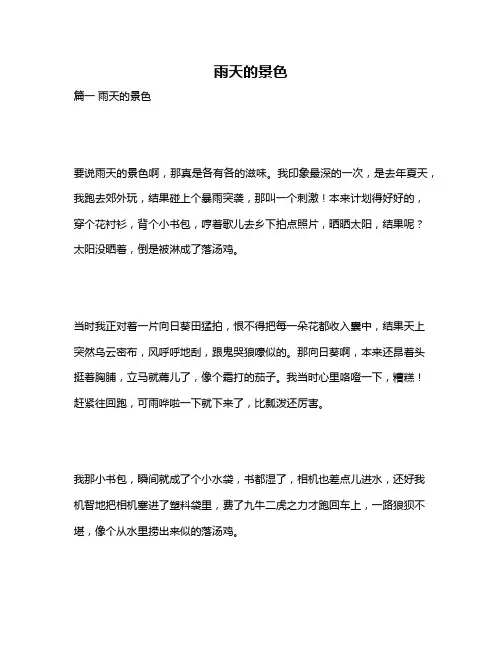 作文《雨天的景色》