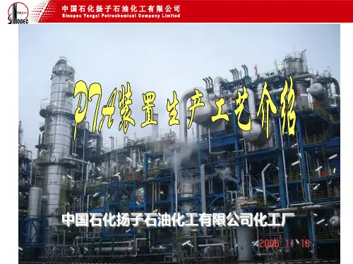 PTA装置工艺介绍1