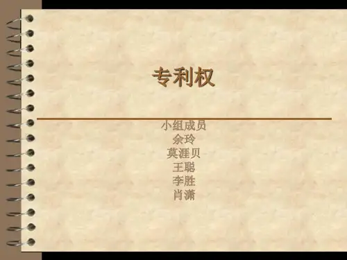 专利权讲解PPT