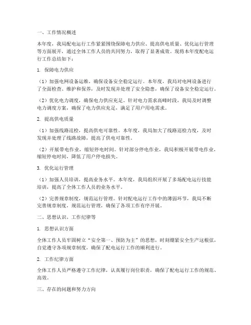 配电运行工作总结报告
