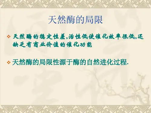 酶定向进化