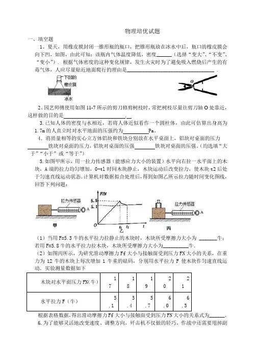 九年级物理培优卷
