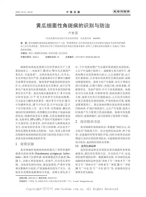 黄瓜细菌性角斑病的识别与防治