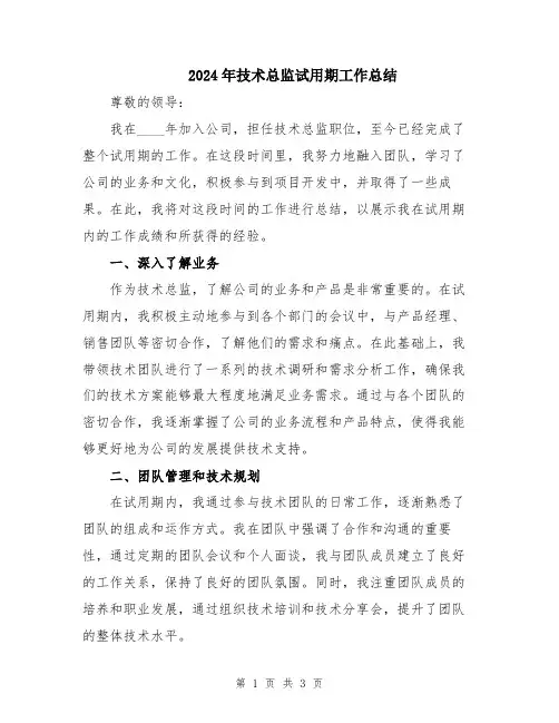 2024年技术总监试用期工作总结