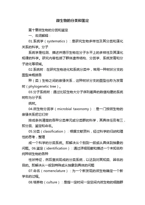 微生物的分类和鉴定