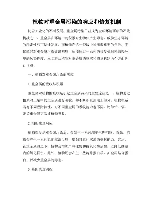 植物对重金属污染的响应和修复机制