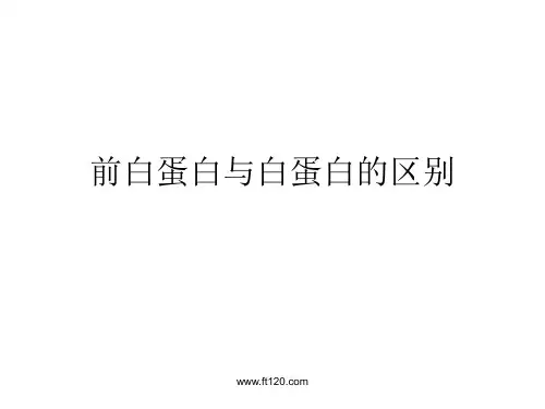 前白蛋白与白蛋白的区别