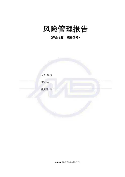 风险管理报告案例(有源)