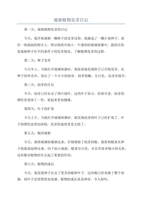 观察植物发芽日记