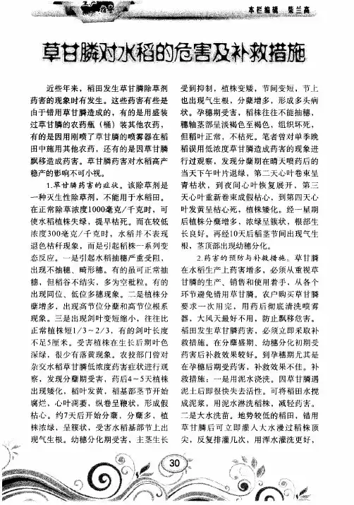 草甘膦对水稻的危害及补救措施