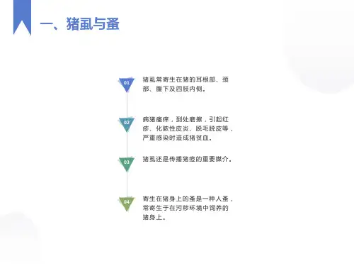 猪的常见皮肤病