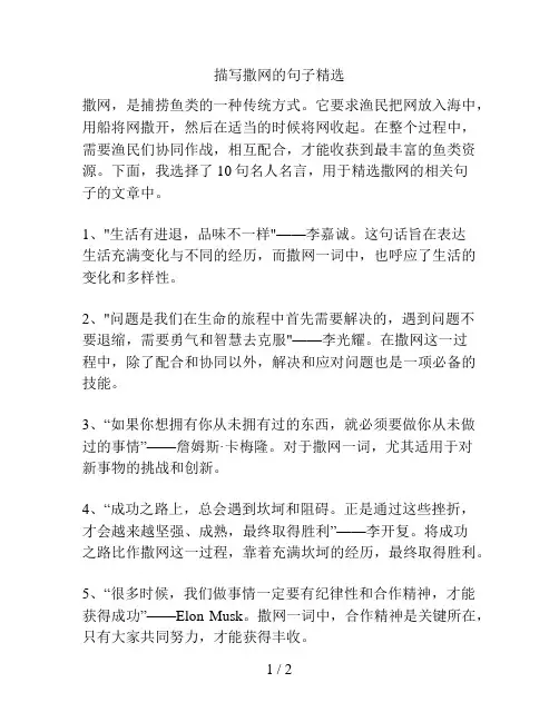 描写撒网的句子精选