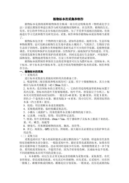 植物标本的采集和制作