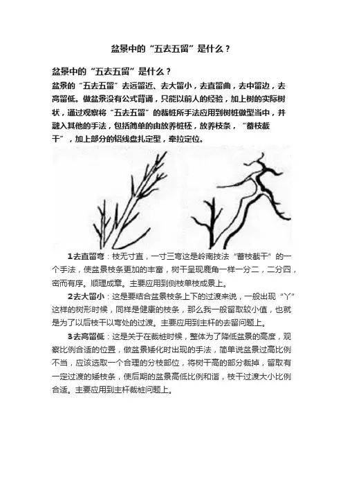 盆景中的“五去五留”是什么？